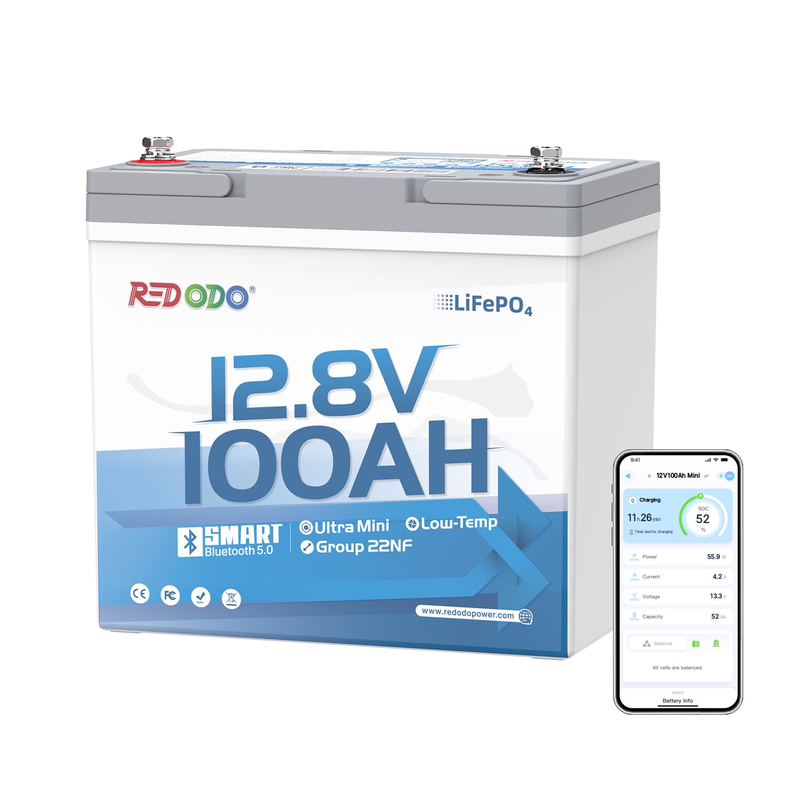 Redodo 12V 100Ah Ultra-Mini RV LiFePO4 Battery, Bluetooth Lithium Battery with Low Temp Protection, Group 22NF, 4000+ Deep Cycles, 100A BMS