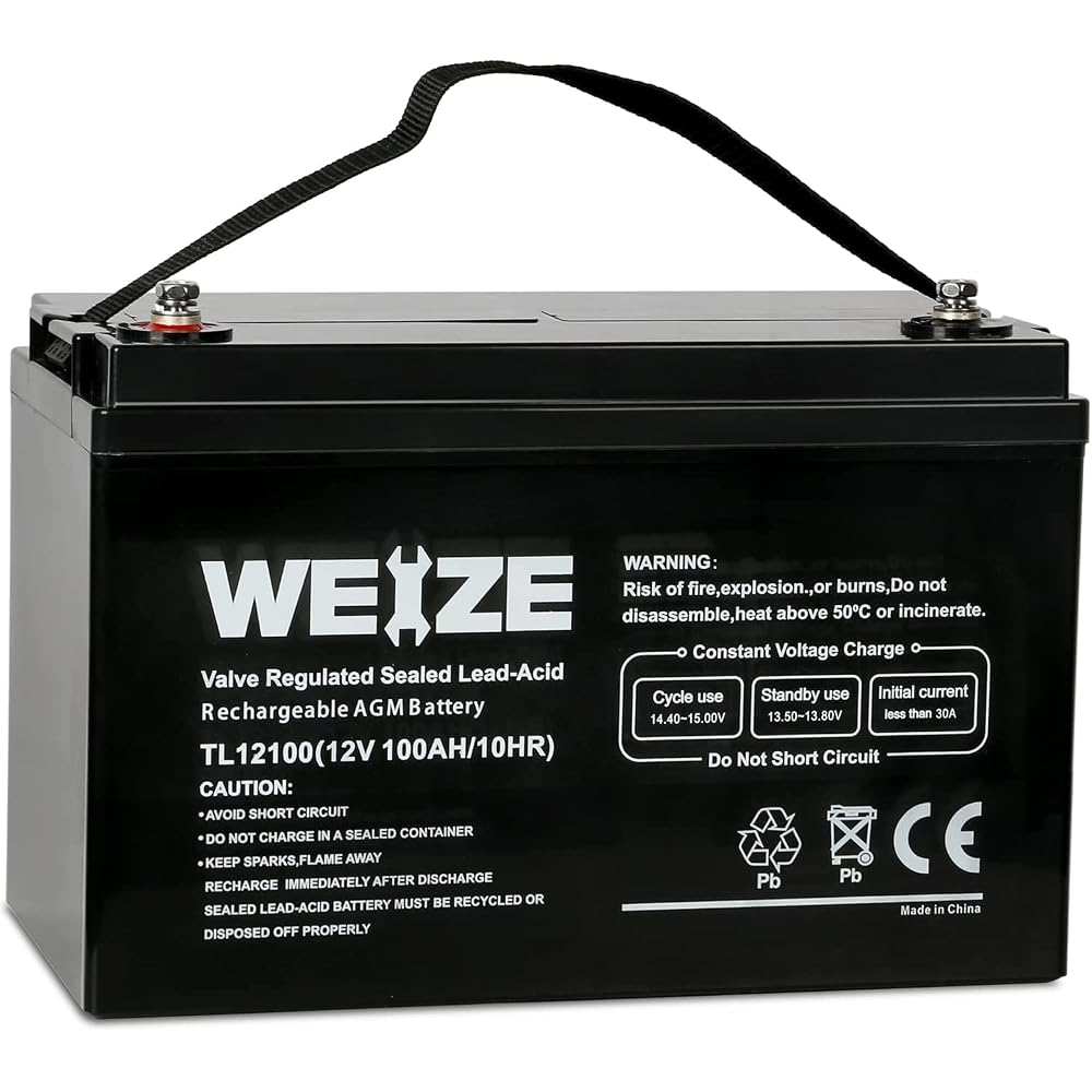WEIZE 12V 100Ah Deep Cycle Battery, Group Size 31 Battery for RV, Solar, Camping, Cabin, Marine and Off-Grid System, 1150A Max Discharge Current